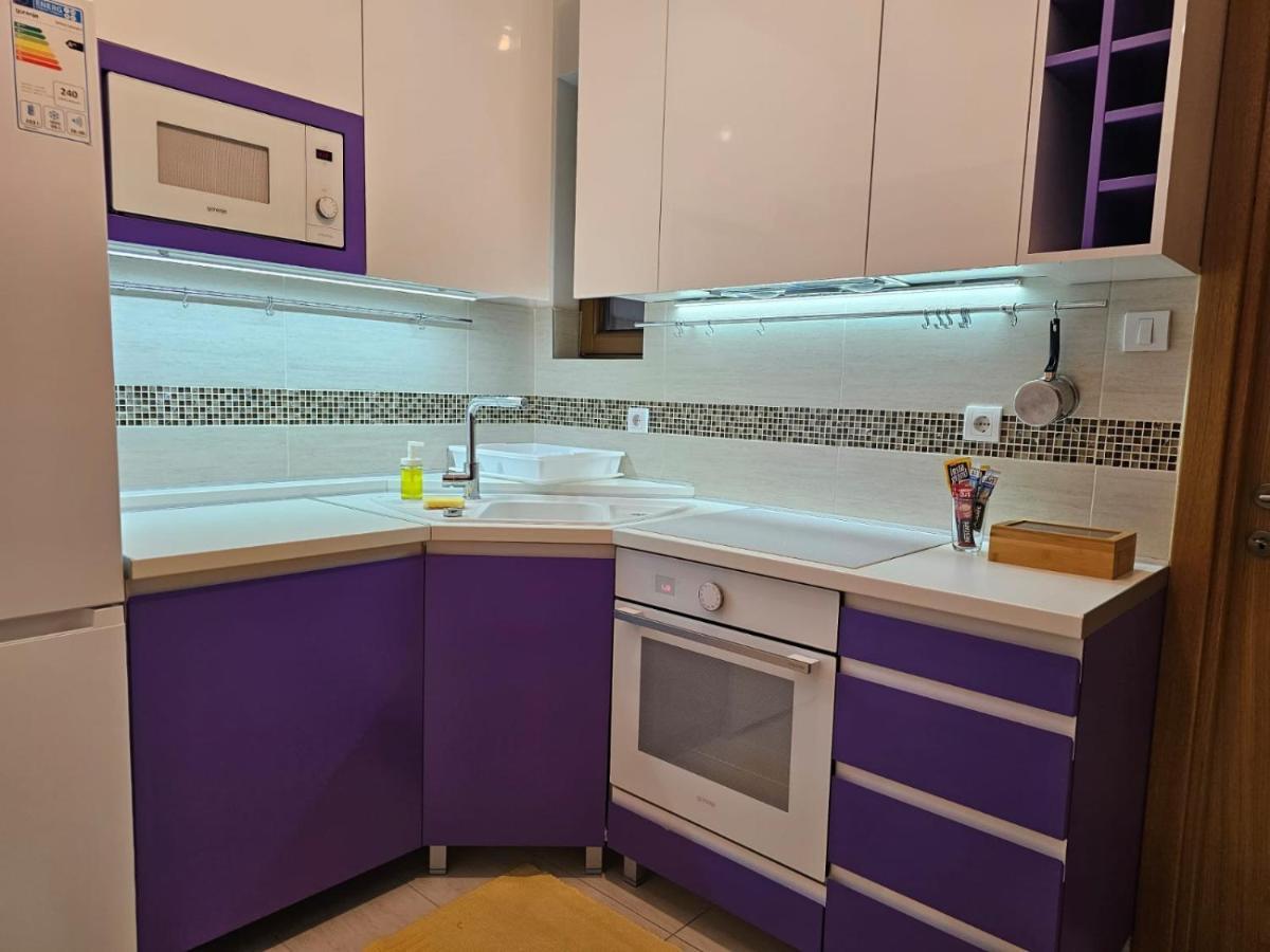 Bright Side Apartment Novi Sad Esterno foto